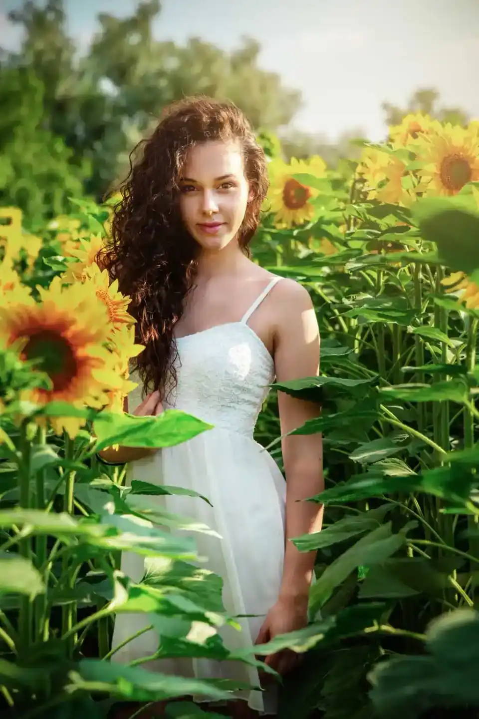 Junge Frau mit lockigen braunen Haaren im weißen Kleid in einem Sonnenblumenfeld – professionelles Portrait Wien