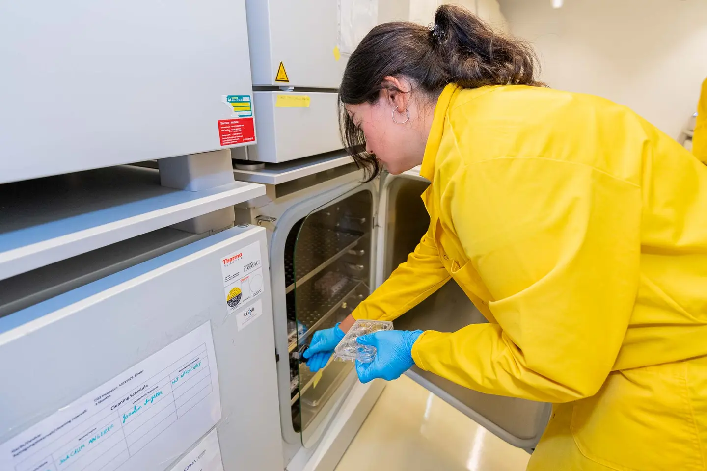 Laborantin legt Proben in den Inkubator im Forschungslabor, Firmenfotograf Wien