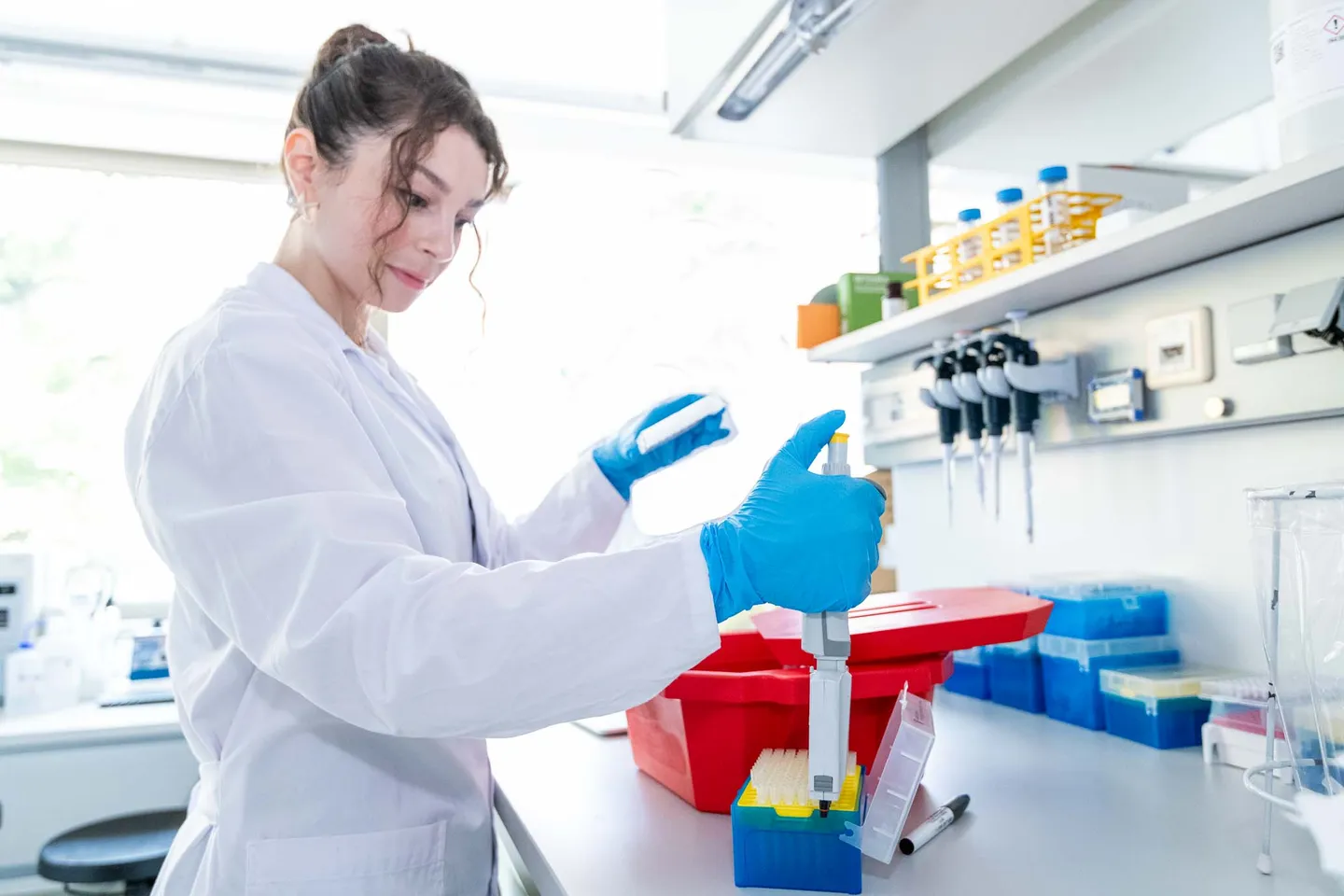Labormitarbeiterin arbeitet mit einer Mehrkanalpipette im Forschungslabor, Wien