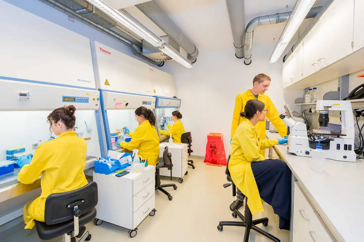 Labormitarbeiter in gelben Kitteln bei der Arbeit im Biotech-Labor, Firmenfotografie Wien