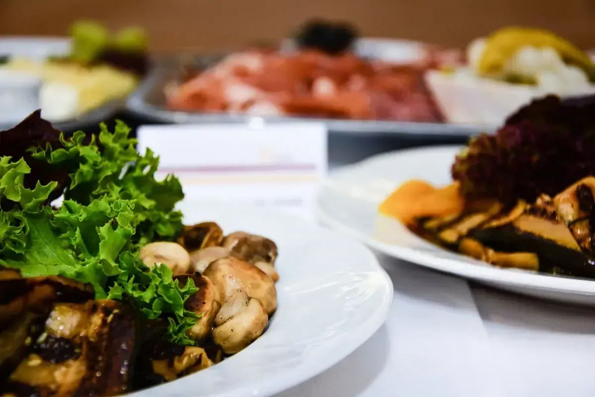 Elegante Foodfotografie zeigt appetitlich angerichtete Gourmet-Speisen mit frischem Salat und Pilzen auf weißen Tellern