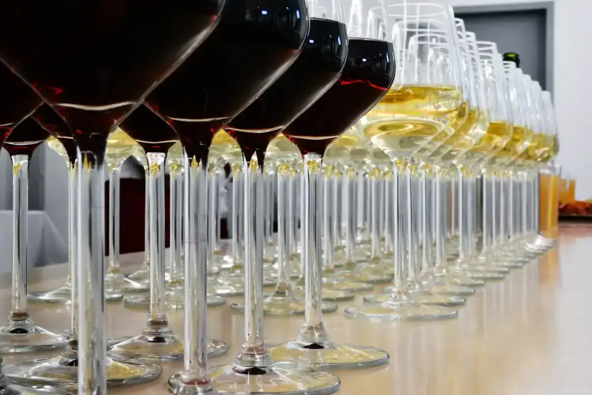 Reihe von Weingläsern mit Rot- und Weißwein bei einer Weinverkostung, professionelle Foodfotografie Wien