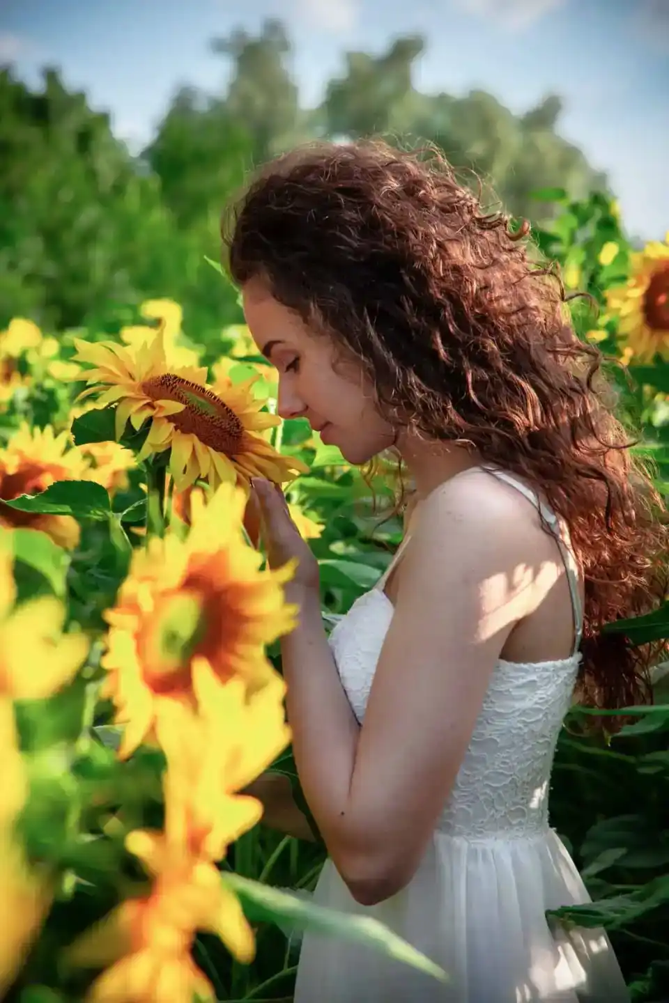 Junge Frau im weißen Kleid riecht an einer Sonnenblume in einem Sonnenblumenfeld - Portrait Wien