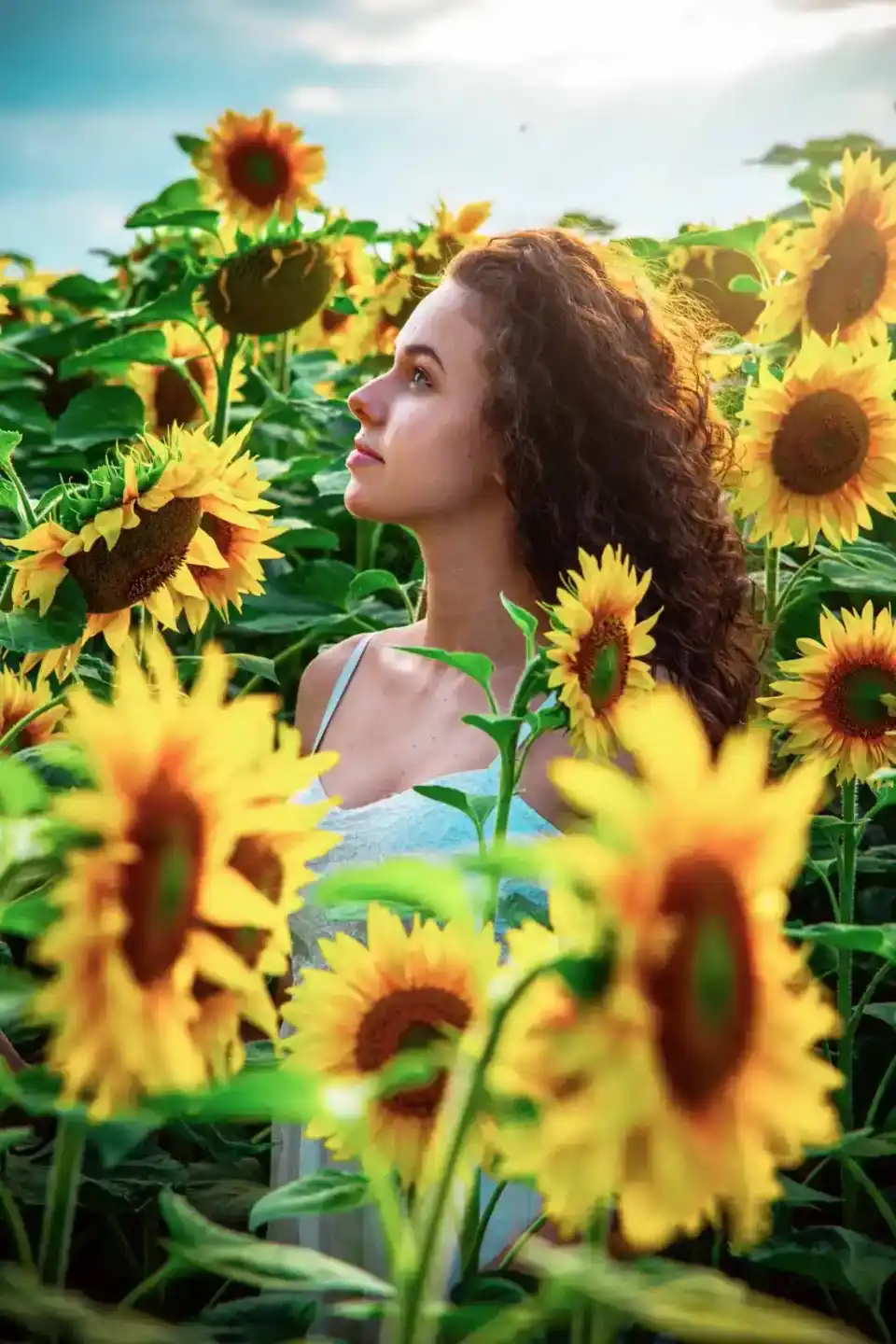 Junge Frau mit braunen Locken im Sonnenblumenfeld, Portrait Wien bei Sonnenlicht